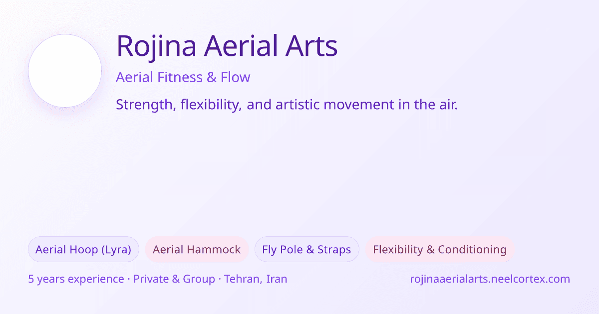 Rojina Aerial Arts website preview